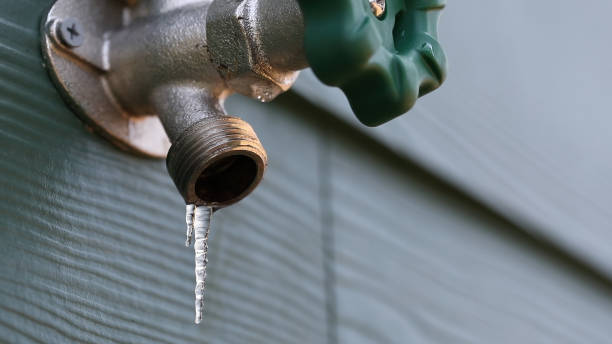 Best Drain Cleaning Services  in Wallace, FL