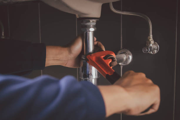 Best Plumbing Services Near Me  in Wallace, FL